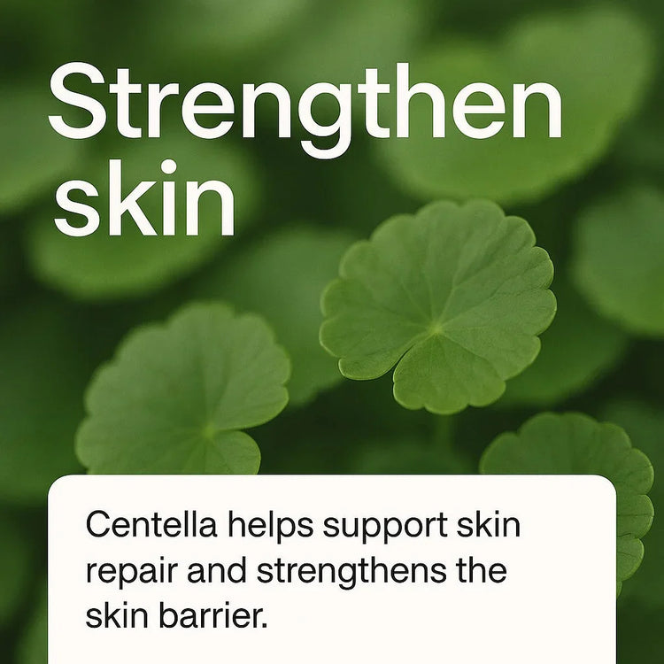 100% K-Beauty Extracts – Limited Capsule Collection - Delune 