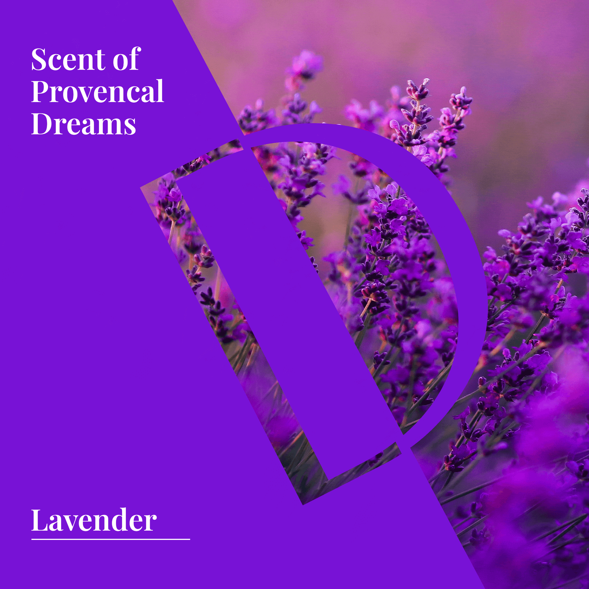 Lavender Organic Wellness Grade Essential Oil - Delune 