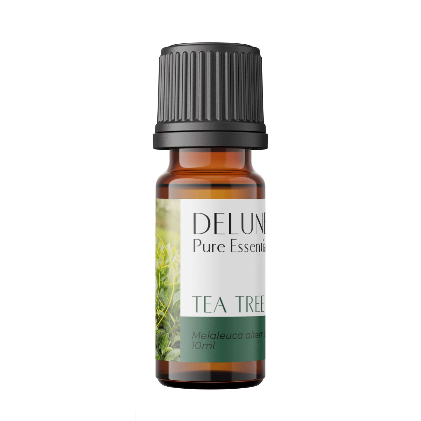 Tea Tree Pure Essential Oil - Delune 